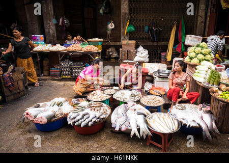 Women selling fresh fish at their street market stall in Downtown Yangon. Stock Photo