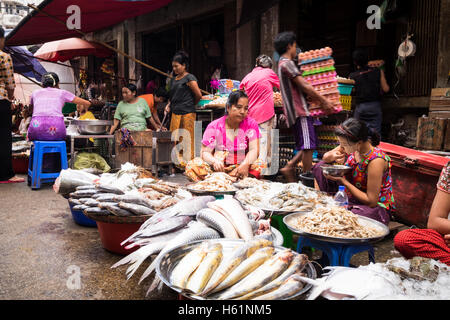 Women selling fresh fish at their street market stall in Downtown Yangon. Stock Photo