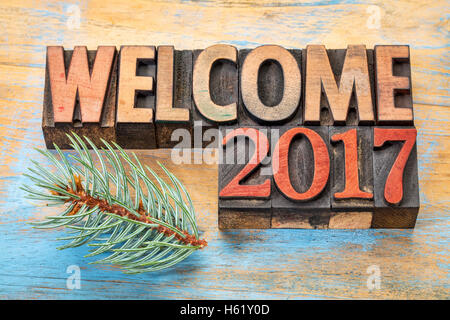 welcome 2017 - word abstract in vintage letterpress wood type blocks stained by color inks Stock Photo