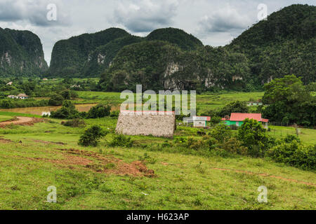Remone village in rural countryside in Cuba, Vinales Valley. Stock Photo