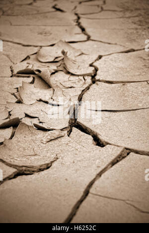 arid soil with large cracks in the field Stock Photo