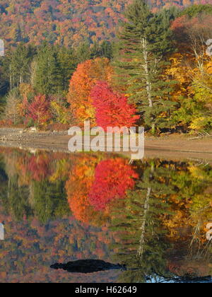 Autumn foliage of Northeastern United States Stock Photo