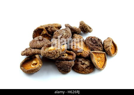 dried shiitake mushrooms isolated Stock Photo