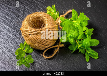 few twigs of fresh green melissa officinalis tied twine and yarn on slate background, close up Stock Photo