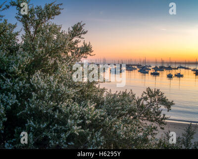 Monterey Harbor and Marina with sunrise. Monterey, California Stock Photo