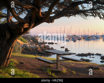 Monterey Harbor and Marina, and table with sunrise. Monterey, California Stock Photo