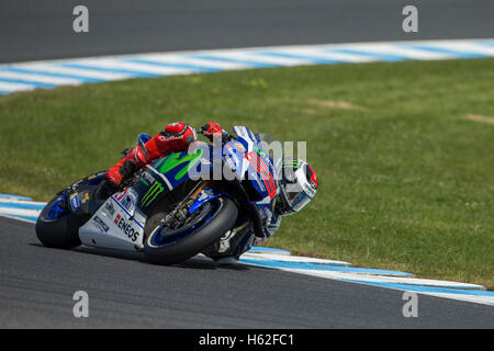 Jorge Lorenzo warm up sunday race, motoGP, Jerez de la Frontera Stock ...