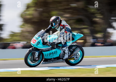 Melbourne, Australia. 23rd October, 2016.  during the 2016 Michelin Australian Motorcycle Grand Prix  at 2106 Michelin Australian Motorcycle Grand Prix , Australia on October 23 2016. Photo: Dave Hewison Credit:  Dave Hewison Sports/Alamy Live News Stock Photo