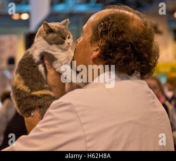 Birmingham, UK. 22nd October, 2016. NEC Birmingham. Supreme Cat Show. Judges inspect the cats at Supreme Cat Show at Birmingham's NEC. Credit:  charlie bryan/Alamy Live News Stock Photo