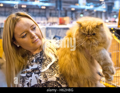 Birmingham, UK. 22nd October, 2016. NEC Birmingham. Supreme Cat Show.Atmosphere shots  at this years Supreme Cat Show at the NEC Birmingham. Credit:  charlie bryan/Alamy Live News Stock Photo