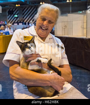 Birmingham, UK. 22nd October, 2016. NEC Birmingham. Supreme Cat Show. Judges inspect the cats at Supreme Cat Show at Birmingham's NEC. Credit:  charlie bryan/Alamy Live News Stock Photo
