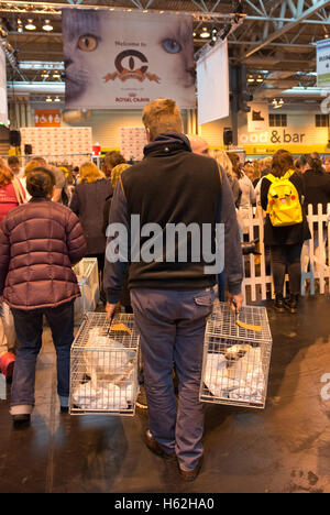 Birmingham, UK. 22nd October, 2016. NEC Birmingham. Supreme Cat Show.Atmosphere shots  at this years Supreme Cat Show at the NEC Birmingham. Credit:  charlie bryan/Alamy Live News Stock Photo