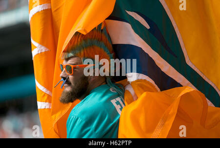 Miami Gardens, Florida, USA. 23rd Oct, 2016. A Dolphins Finatic at Hard Rock Stadium in Miami Gardens, Florida on October 23, 2016. Credit:  Allen Eyestone/The Palm Beach Post/ZUMA Wire/Alamy Live News Stock Photo