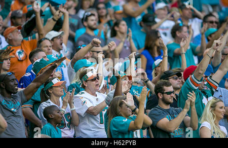 Miami Gardens, Florida, USA. 23rd Oct, 2016. Miami Dolphins fans celebrate against the Buffalo Bills during their NFL game Sunday October 23, 2016 at Hard Rock Stadium in Miami Gardens. © Bill Ingram/The Palm Beach Post/ZUMA Wire/Alamy Live News Stock Photo