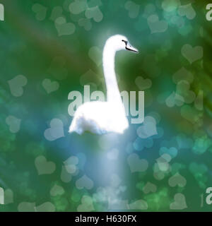 Digitally enhanced image of a white swan swimming in the Danube river, Austria Stock Photo