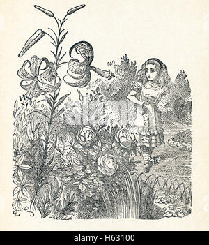 This is a scene from what Alice saw once she went through the Looking Glass and into the Looking Glass room in Lewis Carroll's 'Through the Looking Glass.' Here Alice is in the Garden of Live Flowers. You can see tiger-lilys and daisies.