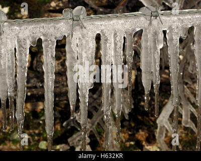 wintry icicles hanging like pendants from a barbed wire fence with twisted strands and sharp barbs encased in crystalline ice Stock Photo