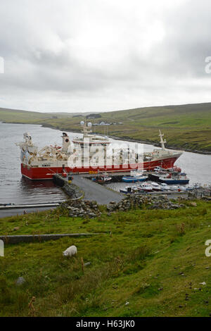 Altaire pelagic fishing boat on the Collafirth pier in north Shetland one of the Shetland fishing fleet owned by locals. Stock Photo