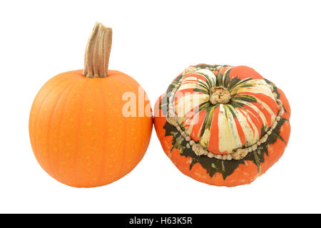 Small orange pumpkin and striped Turks Turban squash, isolated on a white background Stock Photo