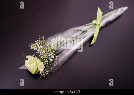 Single carnation bouquet wrapped in cellophane with matching bow Stock Photo
