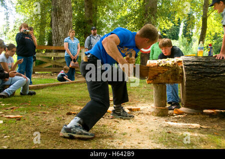 Double Bucking (sawing), Linn County Loggers' Jamboree, Linn County Pioneer Picnic, Pioneer Park, Brownsville, Oregon Stock Photo