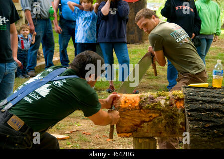 Double Bucking, Linn County Loggers' Jamboree, Linn County Pioneer Picnic, Pioneer Park, Brownsville, Oregon Stock Photo