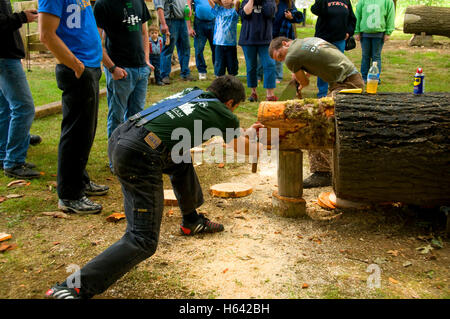 Double Bucking, Linn County Loggers' Jamboree, Linn County Pioneer Picnic, Pioneer Park, Brownsville, Oregon Stock Photo