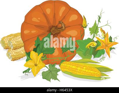 Seasonal background with plump pumpkins, corn and leaves Stock Vector