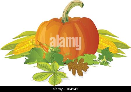 Seasonal background with plump pumpkins, corn and leaves Stock Vector