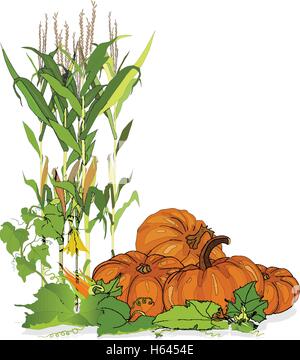 Seasonal background with plump pumpkins, corn and leaves Stock Vector