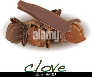 dry cloves on white background vector illustration Stock Vector