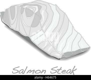 Salmon raw steak red fish top view vector illustration Stock Vector ...