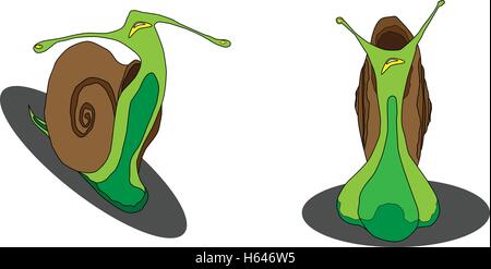 snail illustated Stock Vector