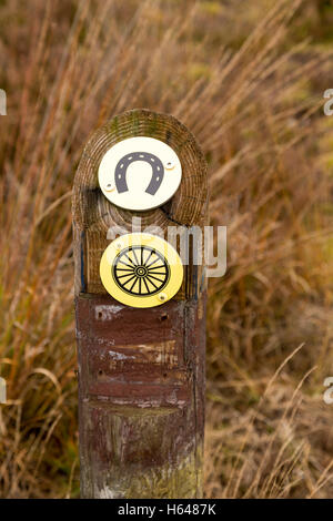 Wooden pole with horse-riding and cycling pictograms on Loenermark, an area with woods and moors, Gelderland, The Netherlands. Stock Photo