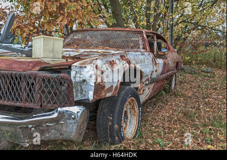 Chevy Camaro stock car Stock Photo