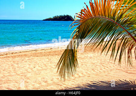 beautiful andilana beach seaweed in indian ocean madagascar mountain   sand isle  sky and rock Stock Photo