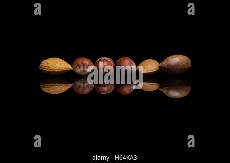 Mix of six shelled nuts, two almonds, one pecan and three hazelnuts isolated on black reflective background Stock Photo