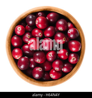 Fresh cranberries in a wooden bowl on white background. Ripe berries of Vaccinium macrocarpon, also large cranberry. Stock Photo