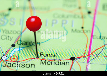 Forest pinned on a map of Mississippi, USA Stock Photo