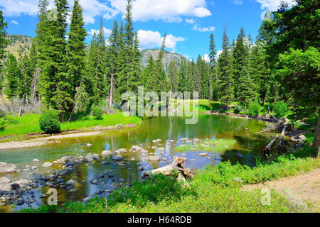 Slough Creek campground in Yellowstone National Park, Wyoming in summer Stock Photo