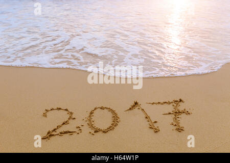 2017 written in the sand of a tropical paradise beach, concept about happy new year greetings Stock Photo