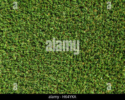 Artificial Green Grass Background Stock Photo