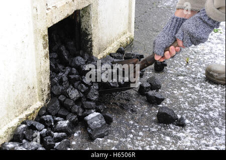Shovelling coal from domestic coal bunker Stock Photo