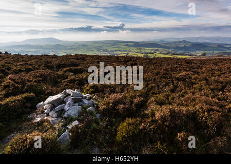 Looking towards Corndon Hill and mid Wales from the Stiperstones ridge near Snailbeach, Shropshire, England, UK Stock Photo
