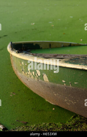 close up of part of green rowing boat submerged in water with leaves. Stock Photo
