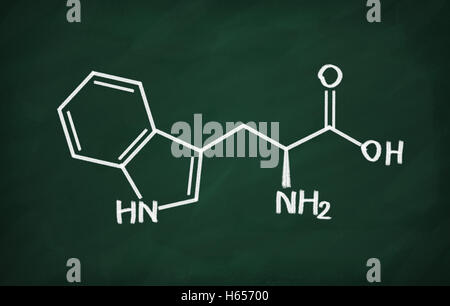 Structural model of Tryptophan on the blackboard. Stock Photo