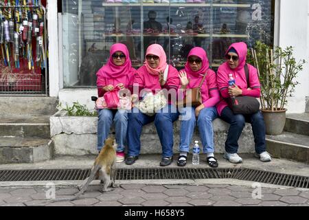 Kuala Lumpur, Kuala Lumpur, Malaysia. 22nd Oct, 2016. A monkey is begging for food to Muslim tourists at Batu caves in Kuala Lumpur, Malaysia. © Chris Jung/ZUMA Wire/Alamy Live News Stock Photo