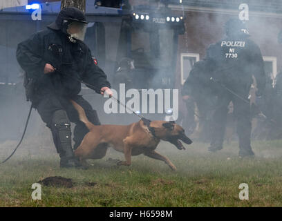 Diepholz, Germany. 24th Oct, 2016. Police officers from the police dog handler unit of the Osnabrueck police department, together with the riot police and the Central Police Deprtment of Lower Saxony are deploying service dogs during a violent demonstration in Diepholz, Germany, 24 October 2016. Photo: Ingo Wagner/dpa/Alamy Live News Stock Photo