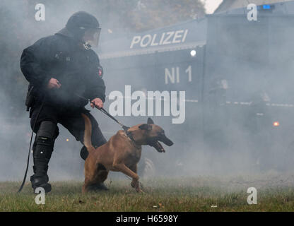 Diepholz, Germany. 24th Oct, 2016. Police officers from the police dog handler unit of the Osnabrueck police department, together with the riot police and the Central Police Deprtment of Lower Saxony are deploying service dogs during a violent demonstration in Diepholz, Germany, 24 October 2016. Photo: Ingo Wagner/dpa/Alamy Live News Stock Photo