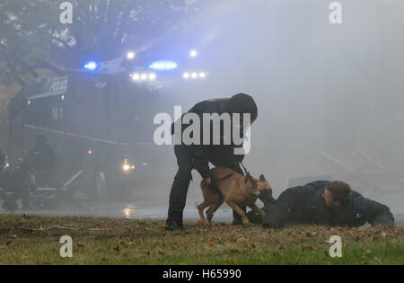 Diepholz, Germany. 24th Oct, 2016. Police officers from the police dog handler unit of the Osnabrueck police department, together with the riot police and the Central Police Deprtment of Lower Saxony are deploying service dogs during a violent demonstration in Diepholz, Germany, 24 October 2016. Photo: Ingo Wagner/dpa/Alamy Live News Stock Photo